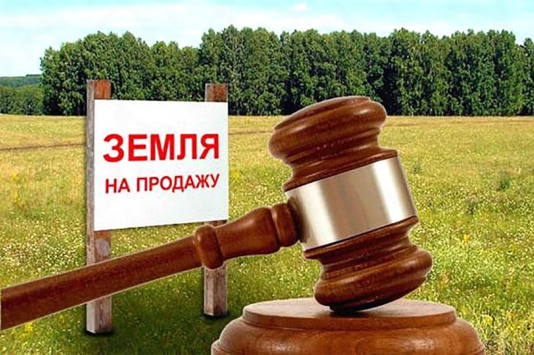 Информационное сообщение о возможном предоставлении земельного участка в собственность по адресу: Псковская область, Великолукский район, Пореченская волость, деревня Березка.