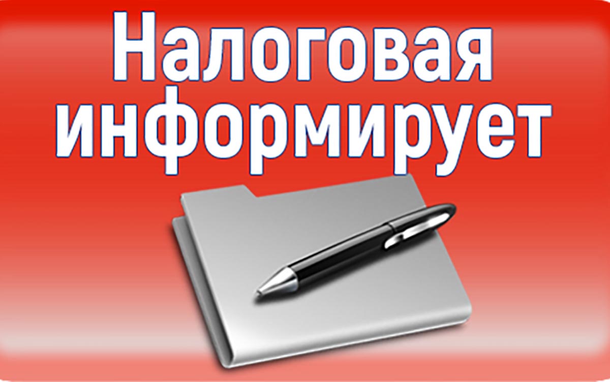 УФНС России по Псковской области: ИП и ЮЛ обязаны представить налоговую отчетность в строго установленные сроки.